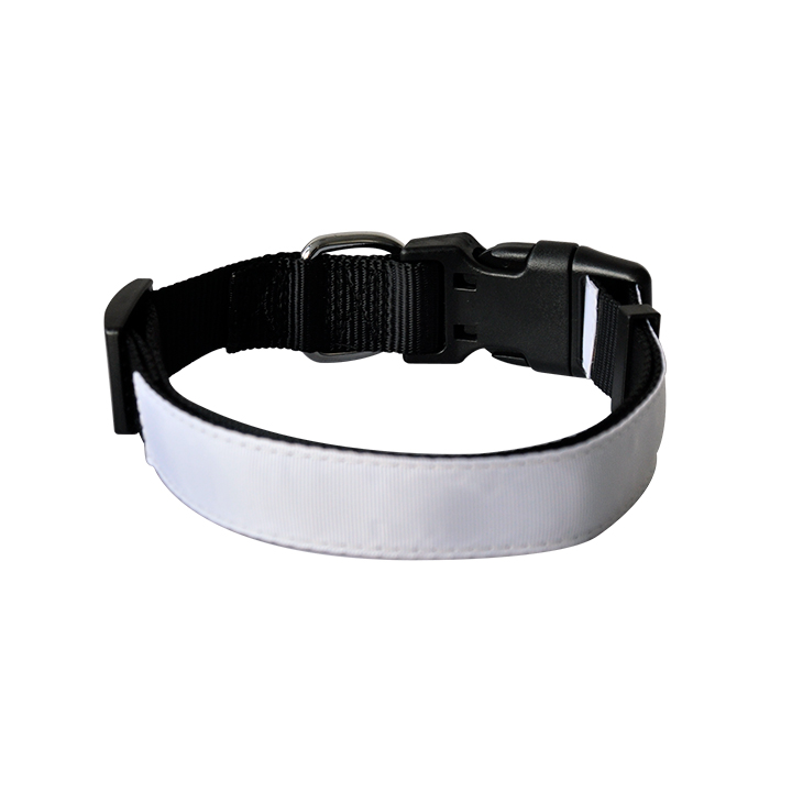 Adjustable Dog Collar 2.5*62cm